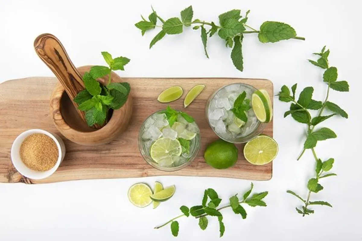 Ice Machines for Pubs, Clubs & Restaurants - Image 3