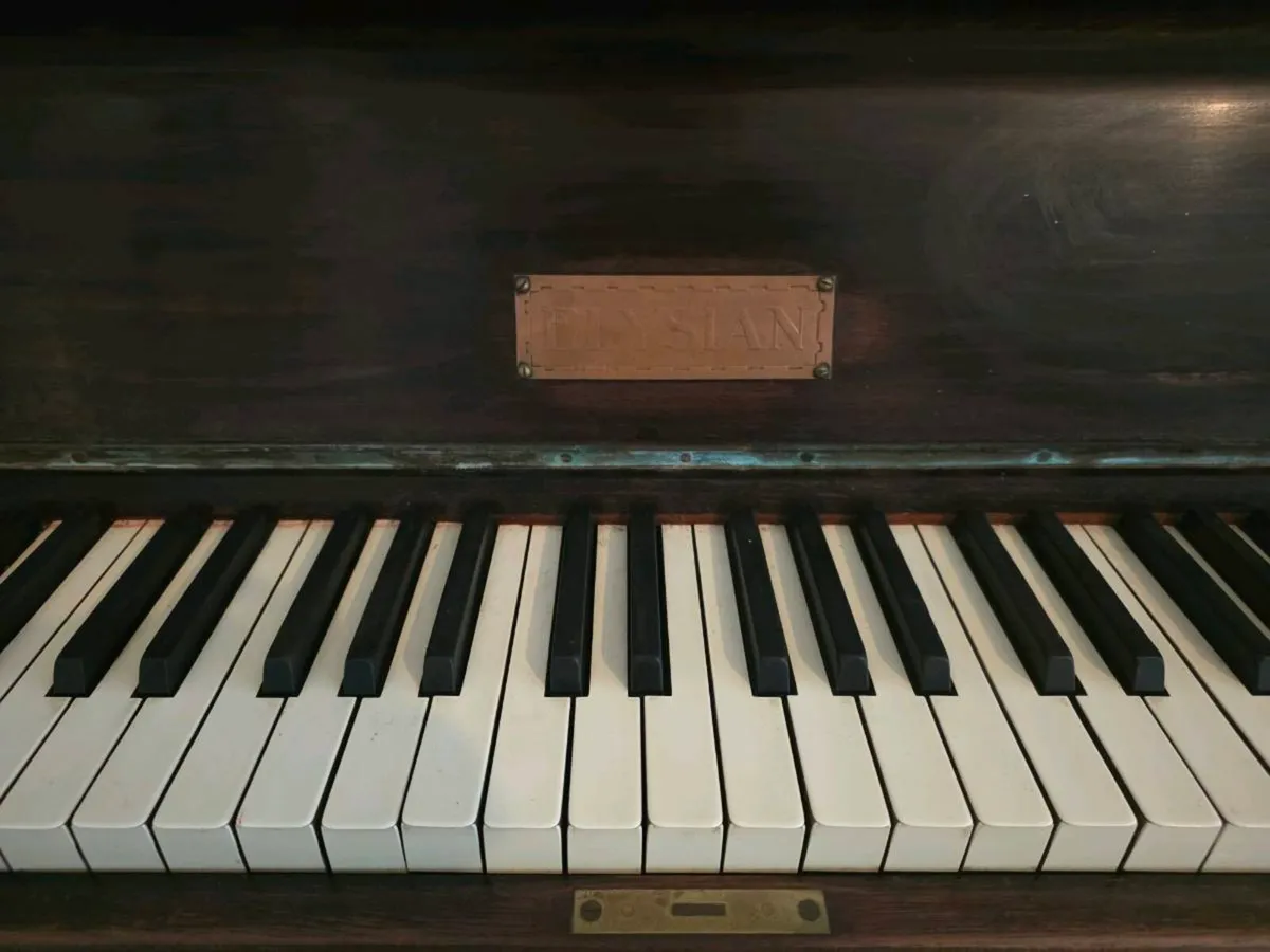 Elysian piano - Image 3