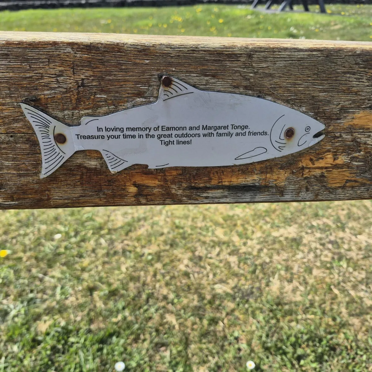 Wanted Morris minor seats - Image 2