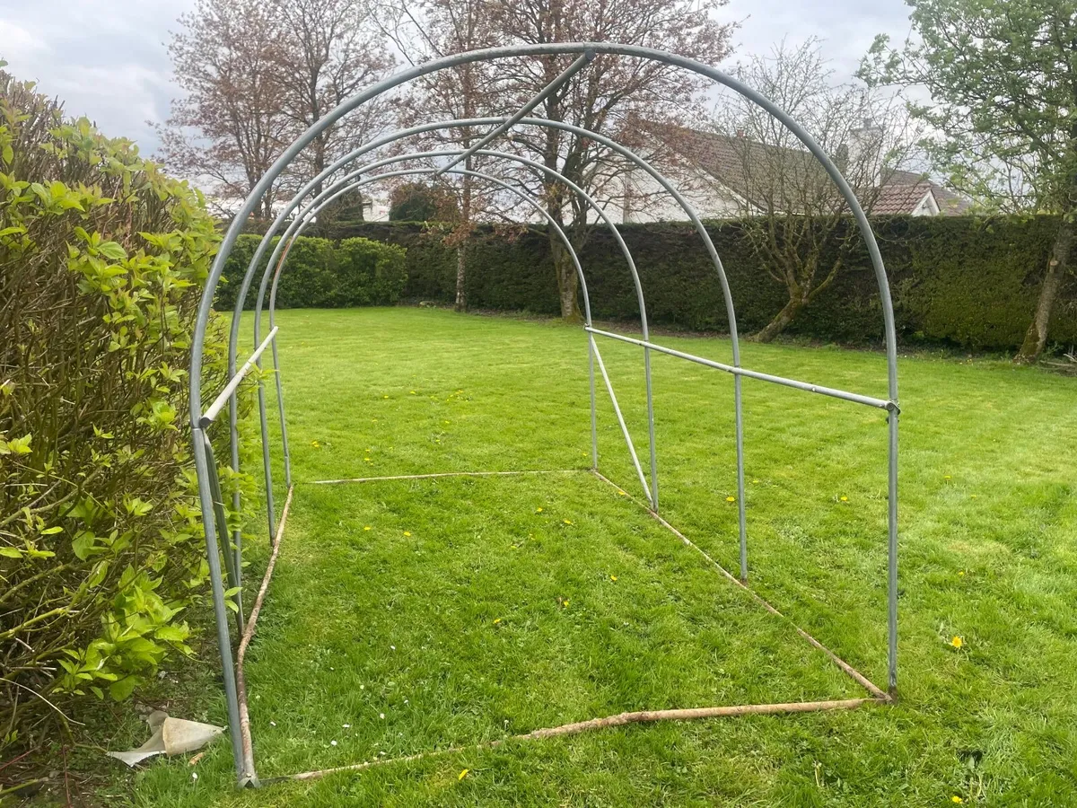 Polytunnel - Image 2