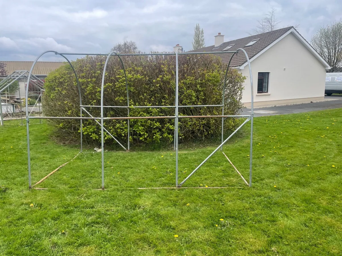Polytunnel - Image 1