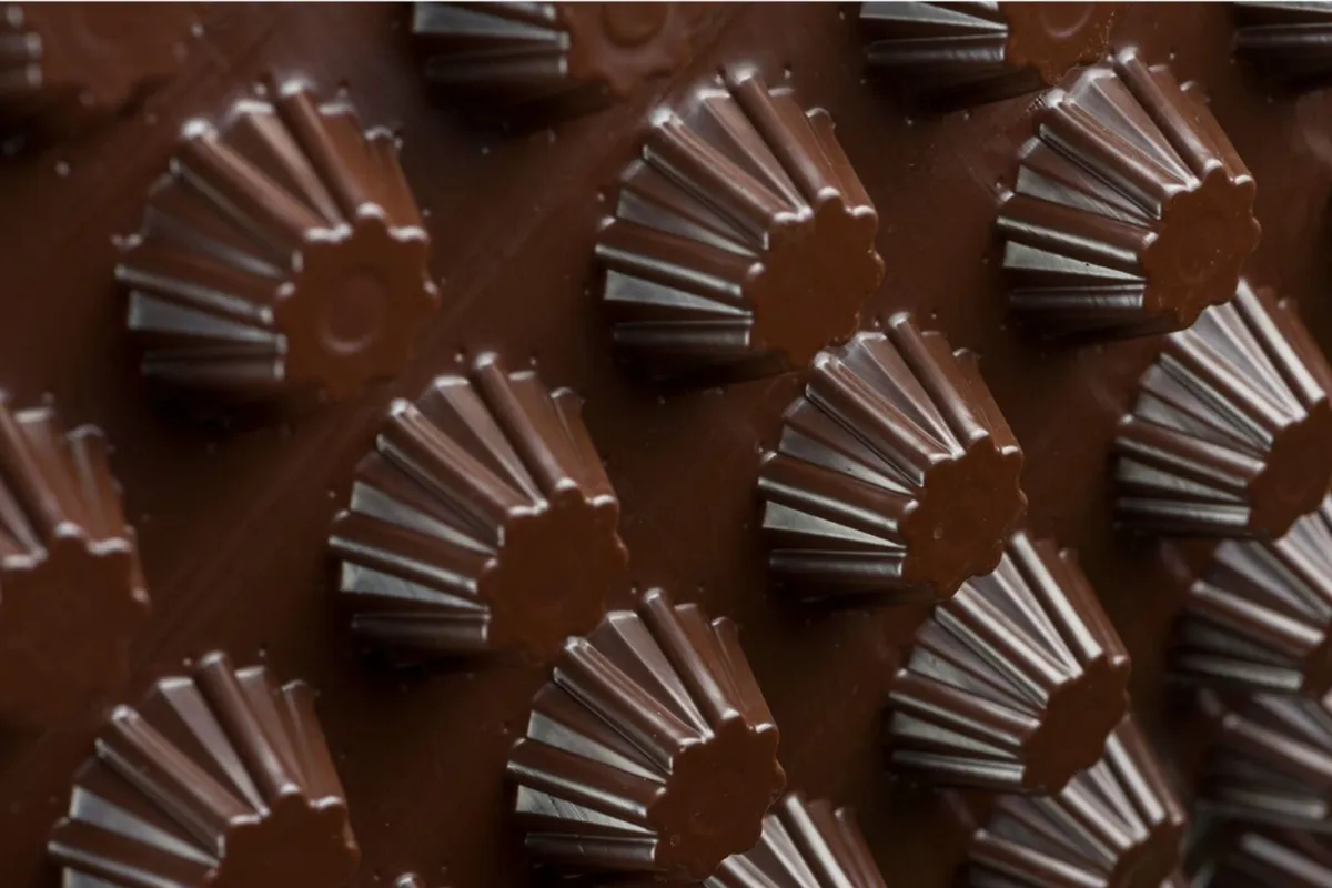 DELTA MS 20 cavity drain membrane - Image 1