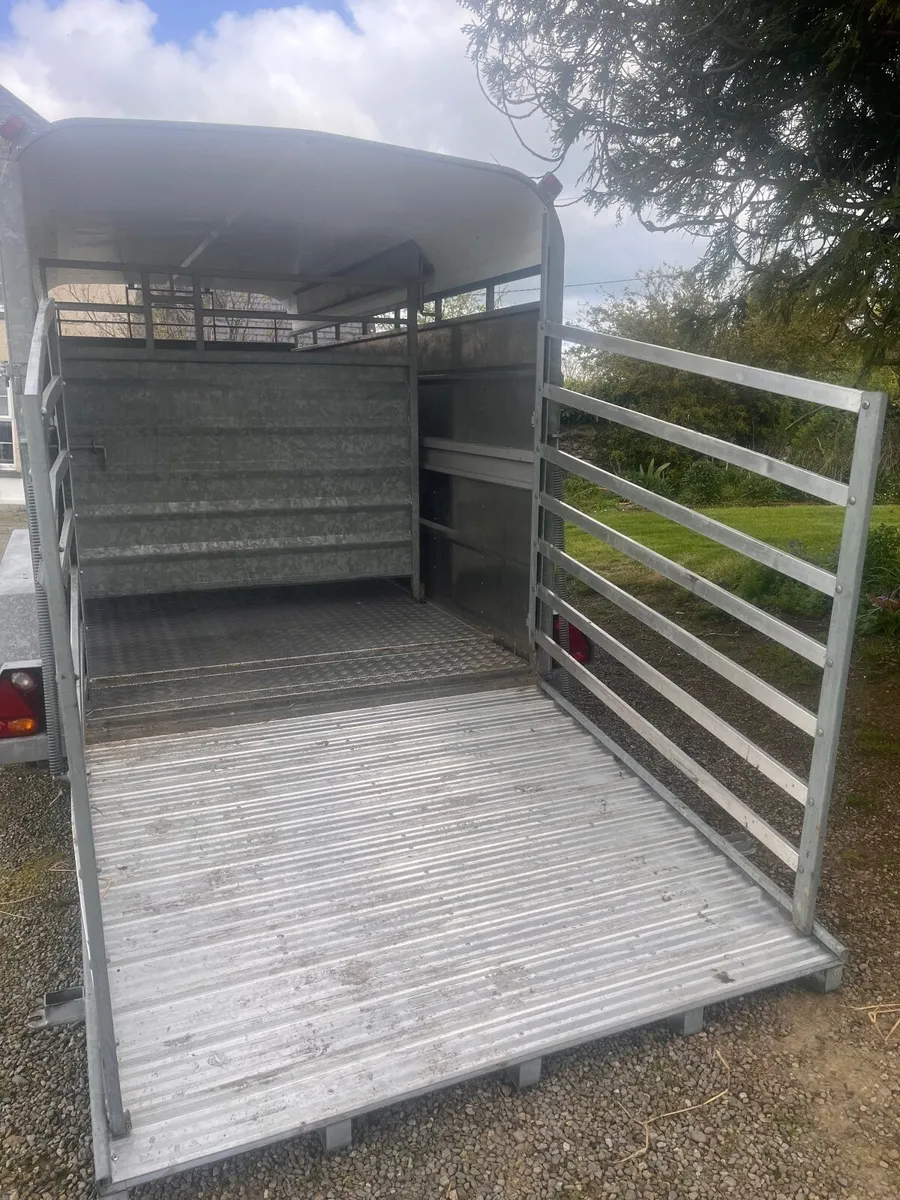 Tuffmac cattlebox - Image 4