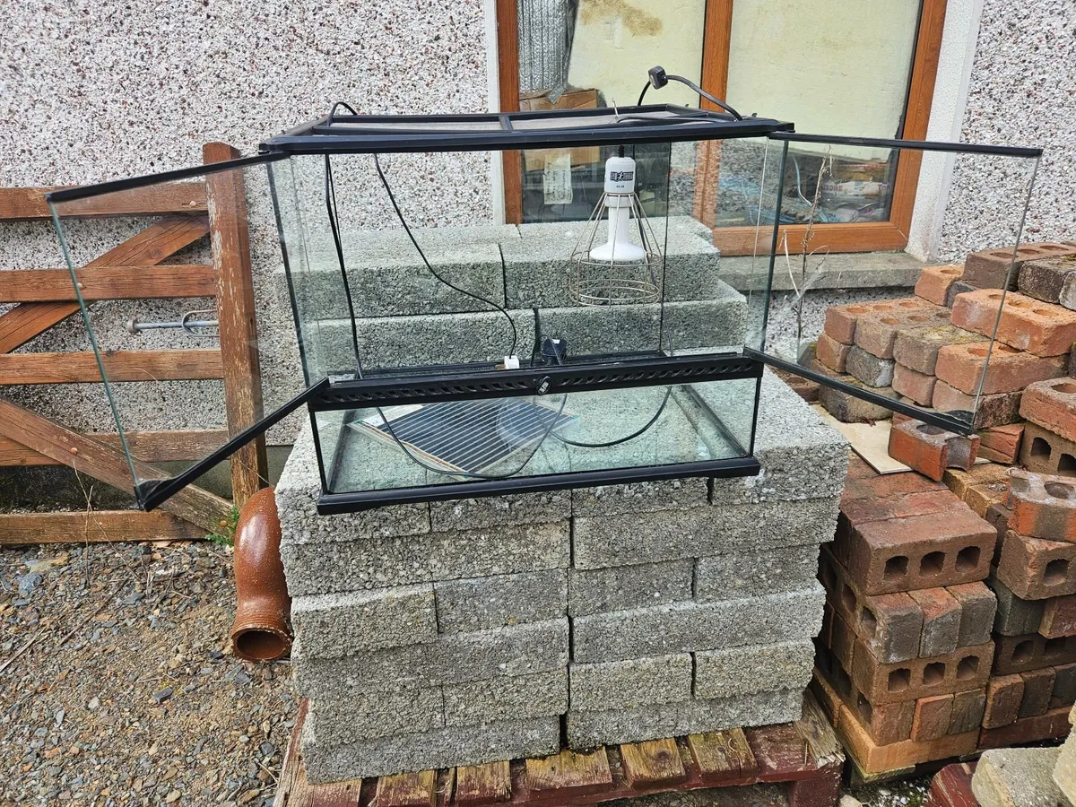 Reptile tank - Image 4