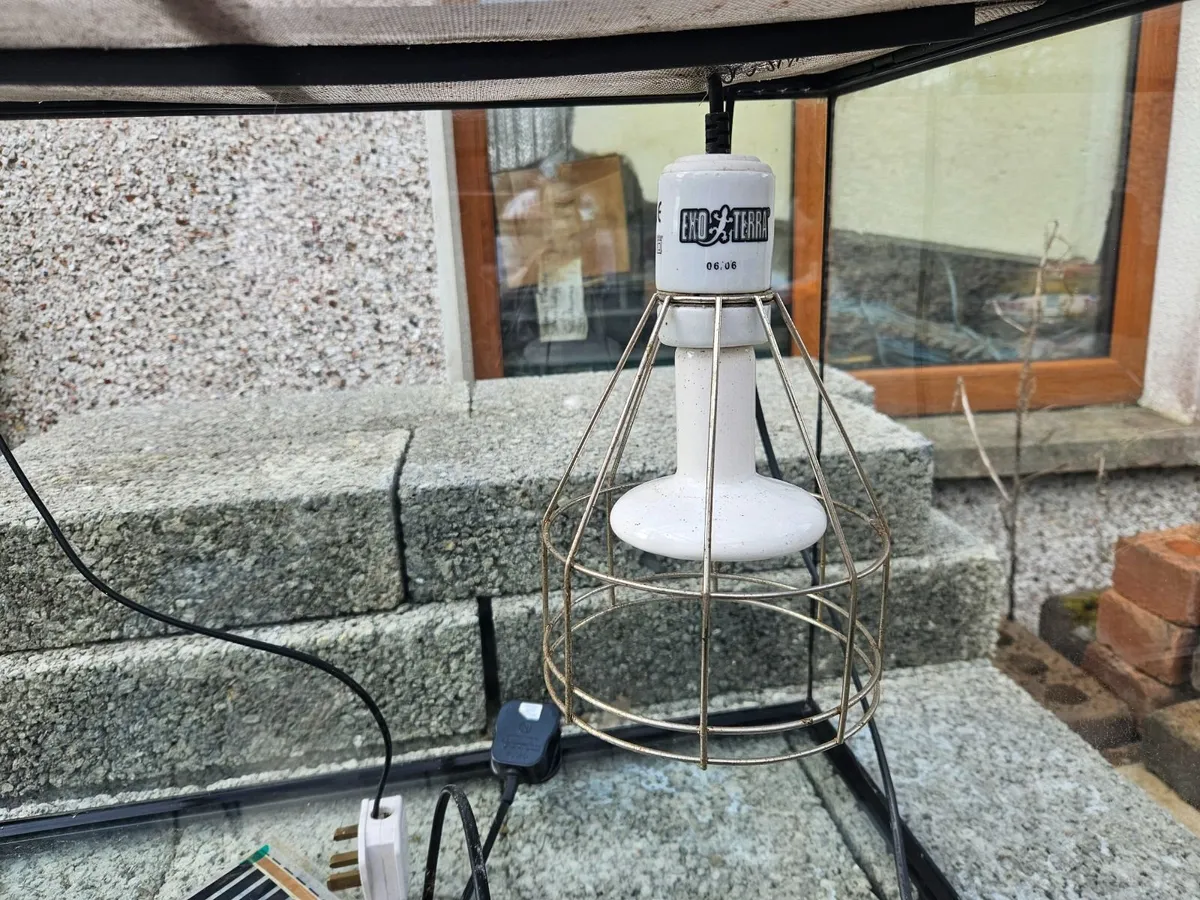 Reptile tank - Image 2