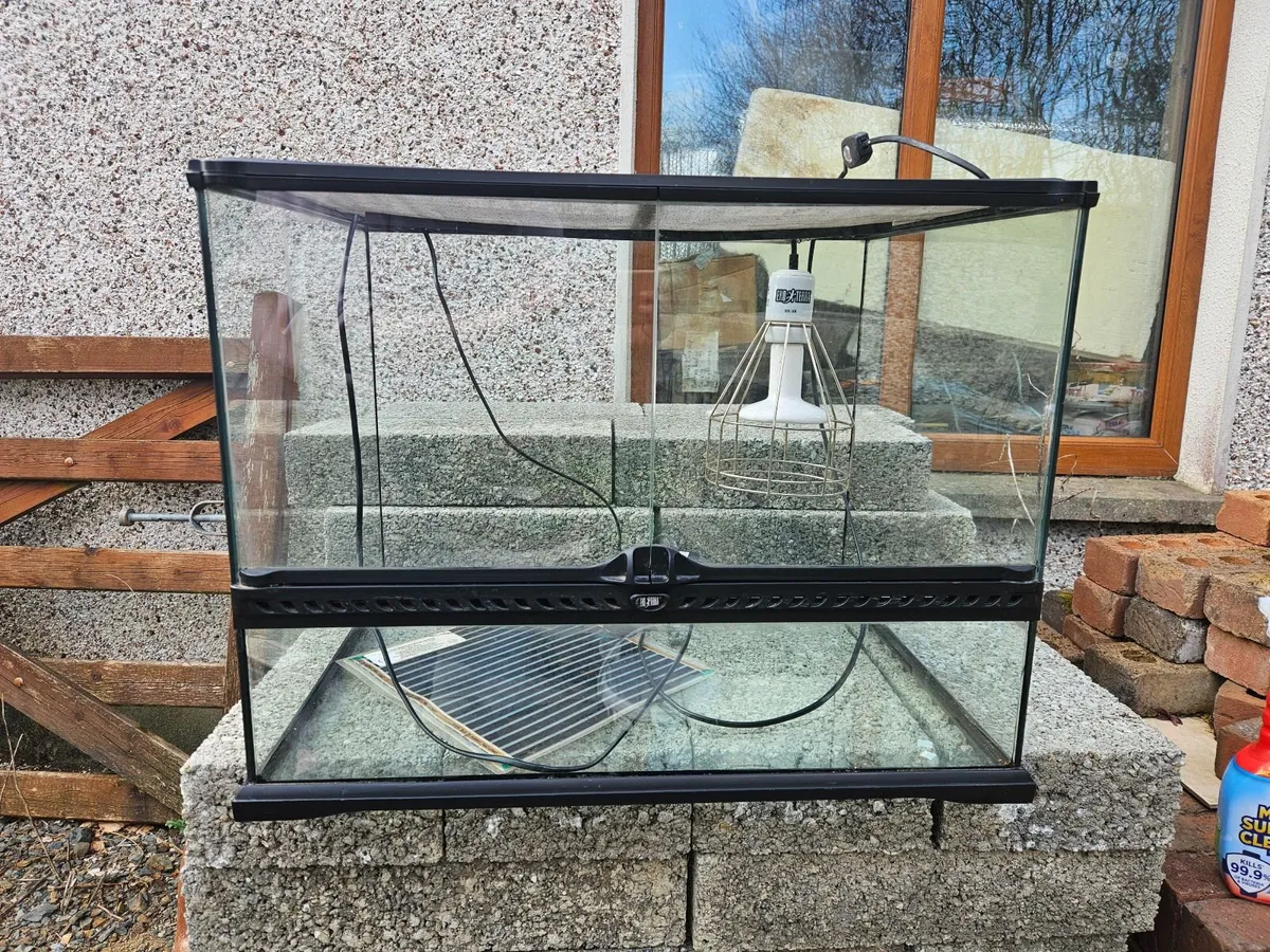 Reptile tank - Image 1