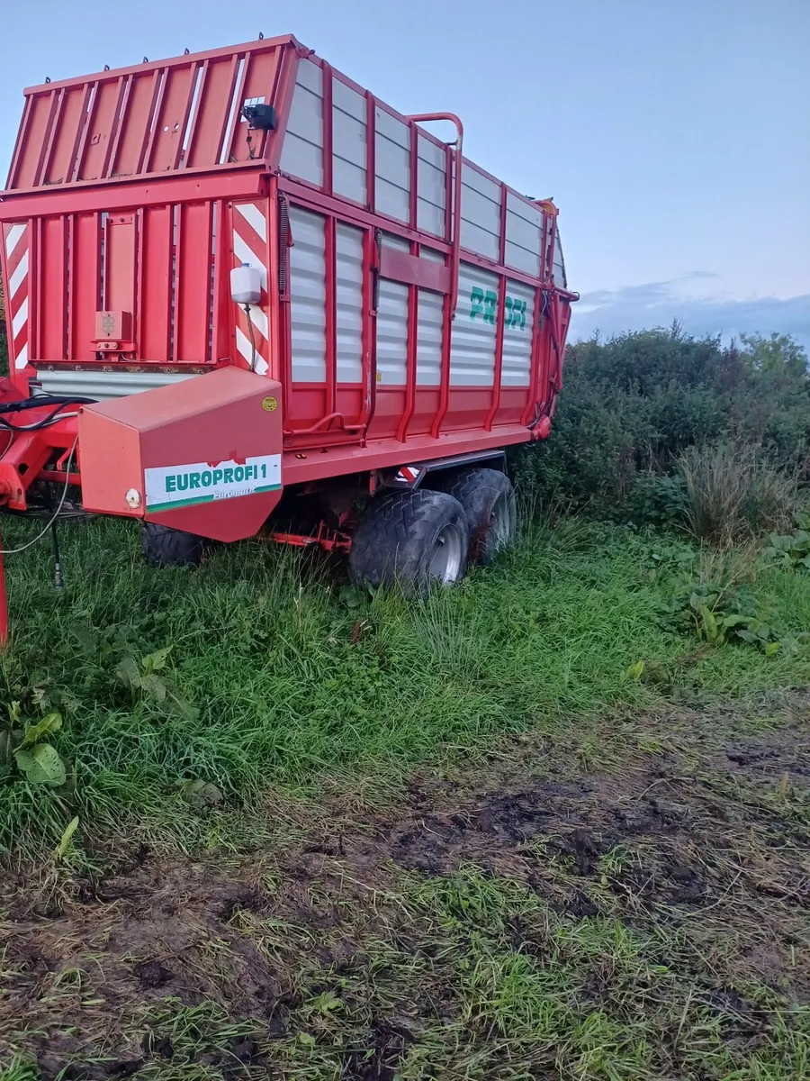 Europrofi 1 - Image 2