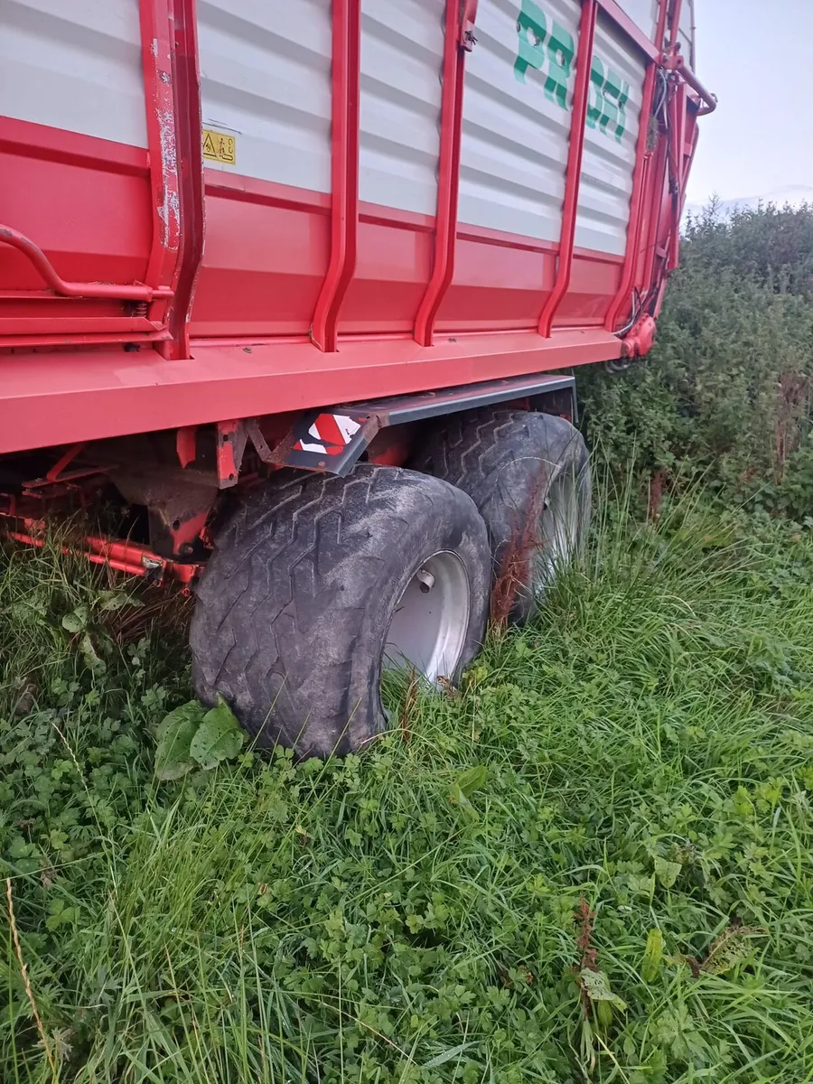 Europrofi 1 - Image 3