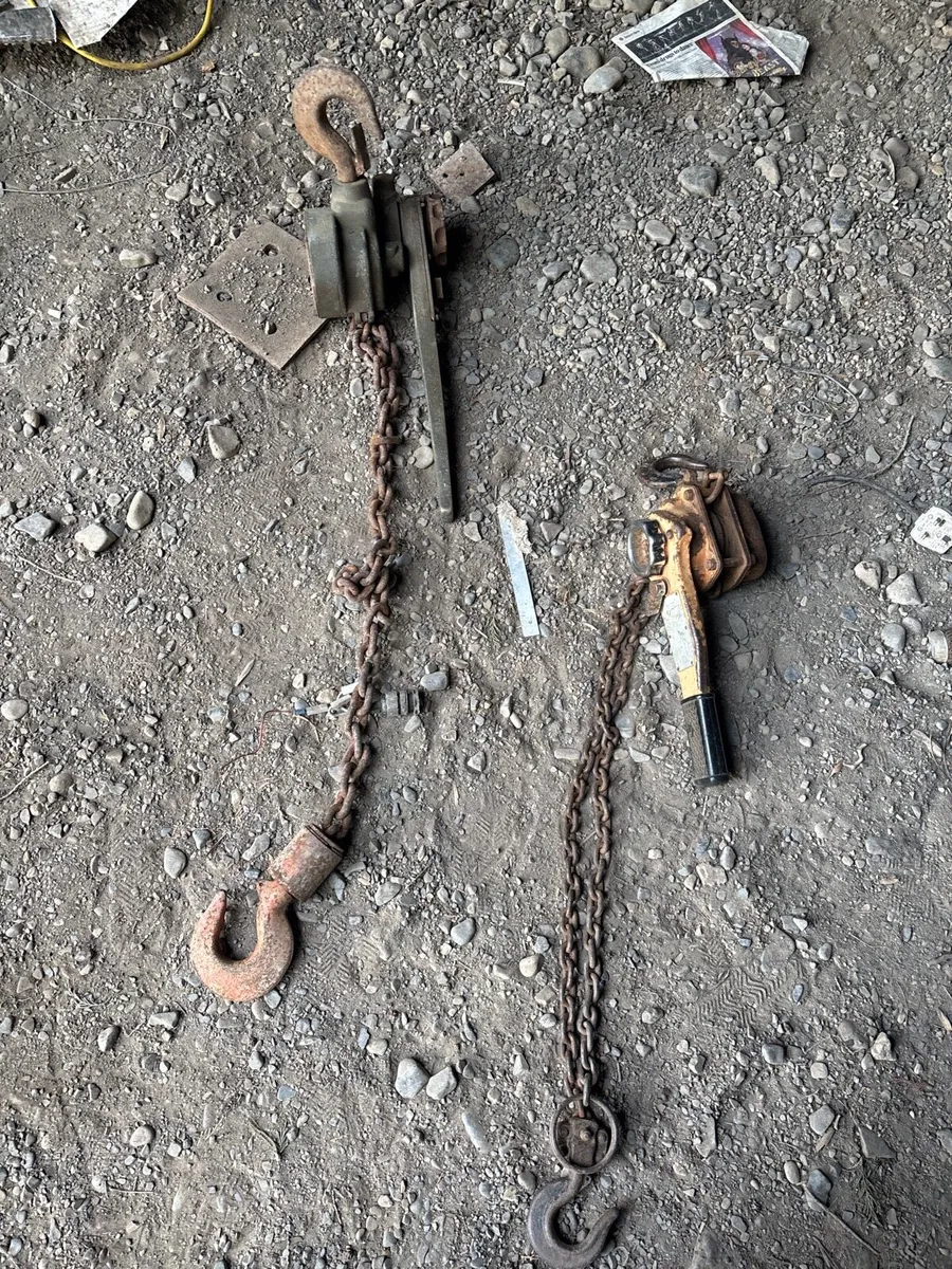 2 heavy duty chain hoists can be tested - Image 1