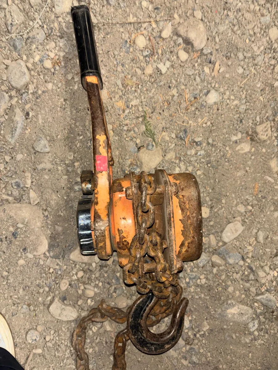 2 heavy duty chain hoists can be tested - Image 3