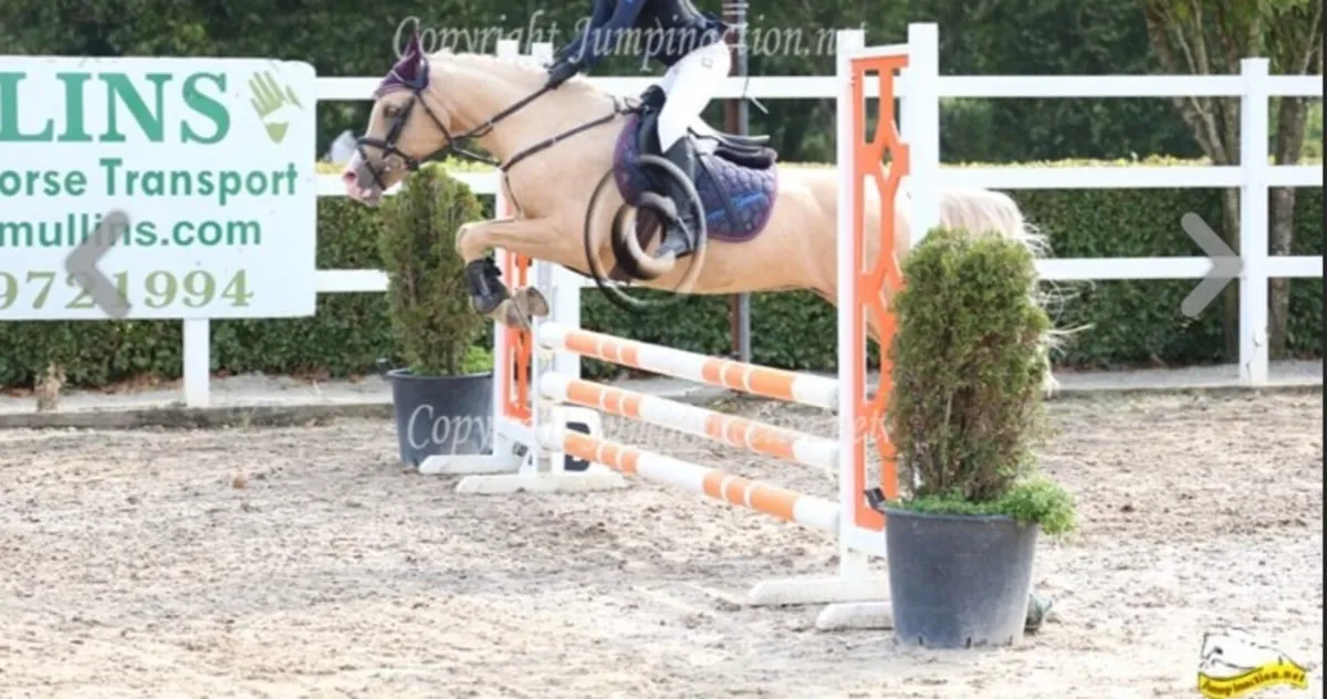 128 Grade A All- Rounder ⭐️⭐️ - Image 2