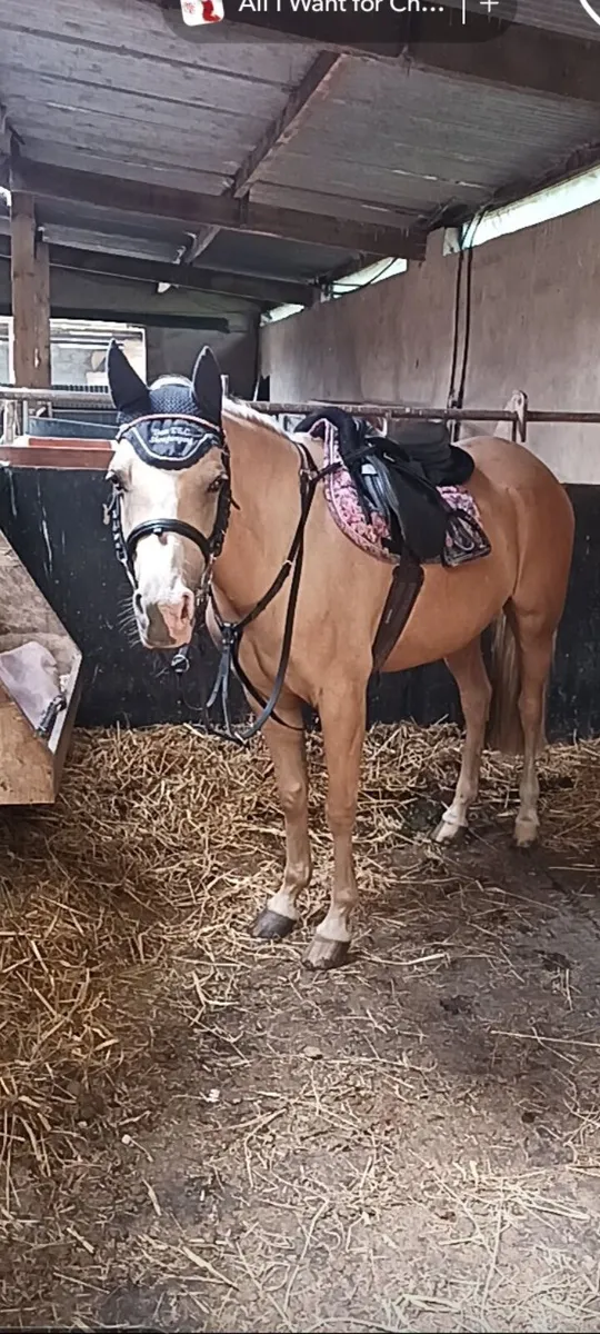 128 Grade A All- Rounder ⭐️⭐️ - Image 3