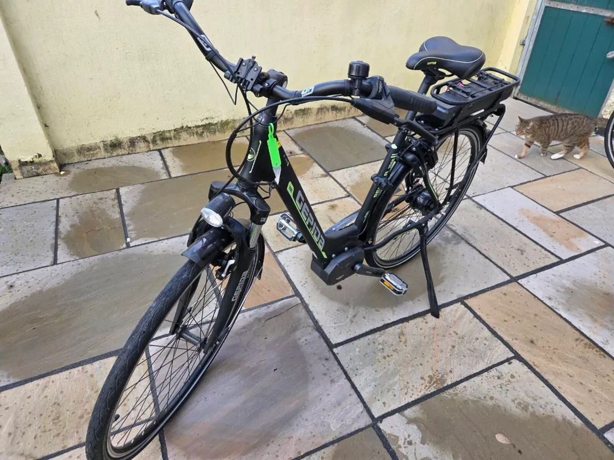 Gepida Reptila 1000 Electric Bike For Sale - Image 1