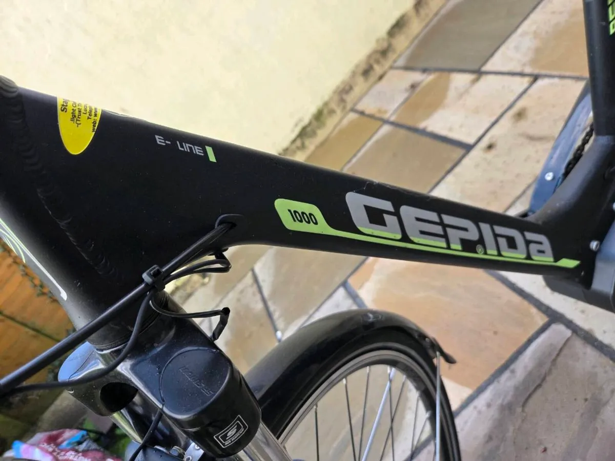 Gepida Reptila 1000 Electric Bike For Sale - Image 2