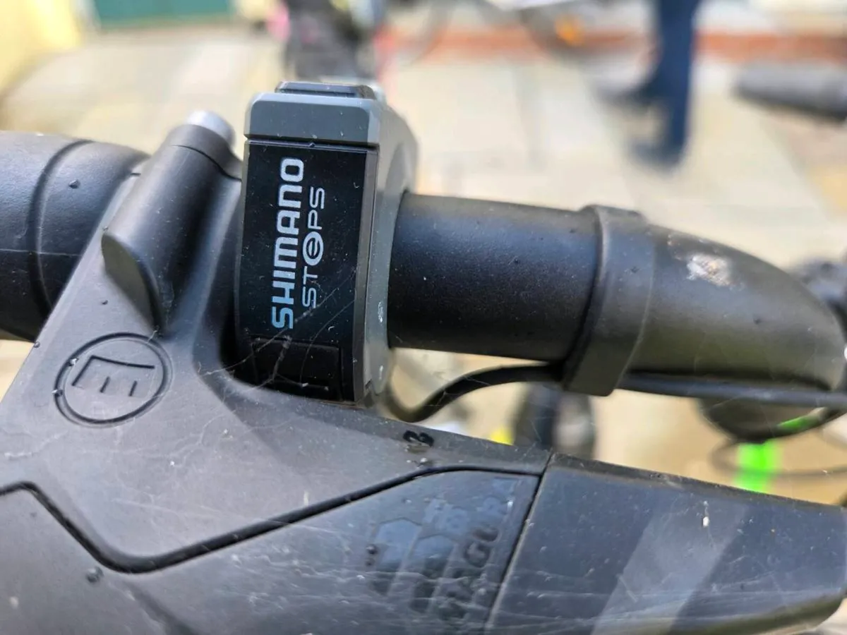 Gepida Reptila 1000 Electric Bike For Sale - Image 3