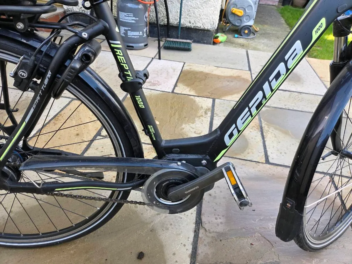 Gepida Reptila 1000 Electric Bike For Sale - Image 4