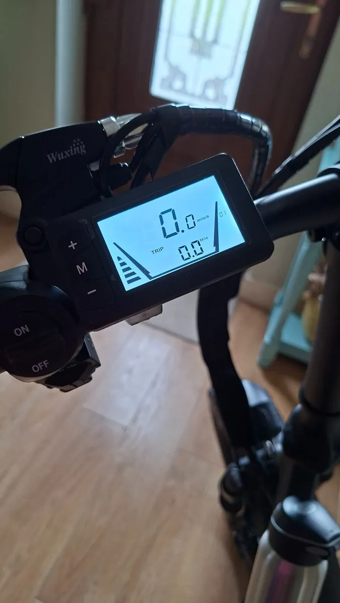 Electric Bike - Image 3