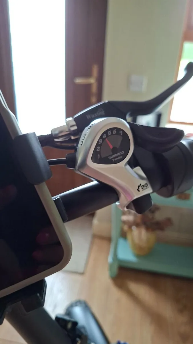 Electric Bike - Image 4