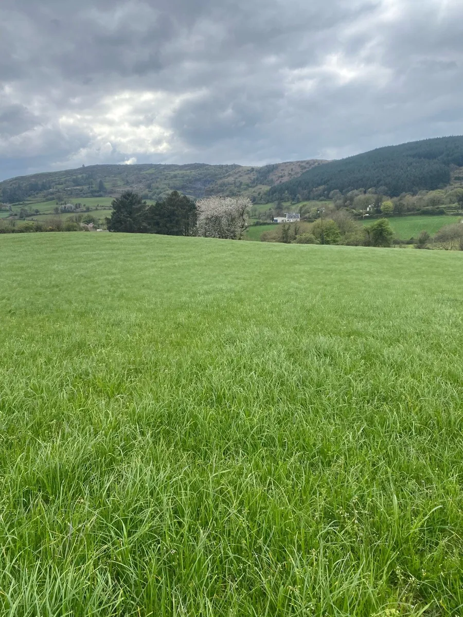 Grass Livery - Image 1