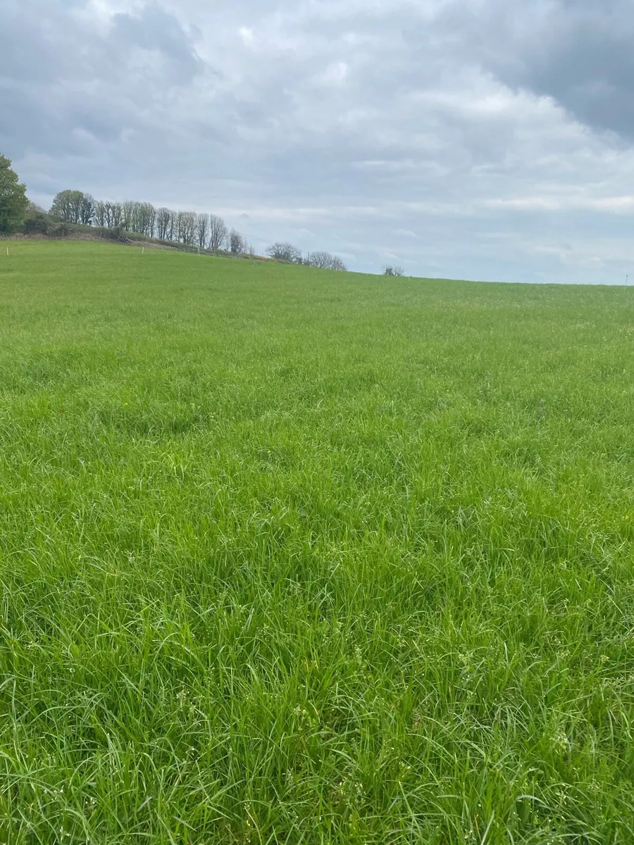 Grass Livery - Image 2