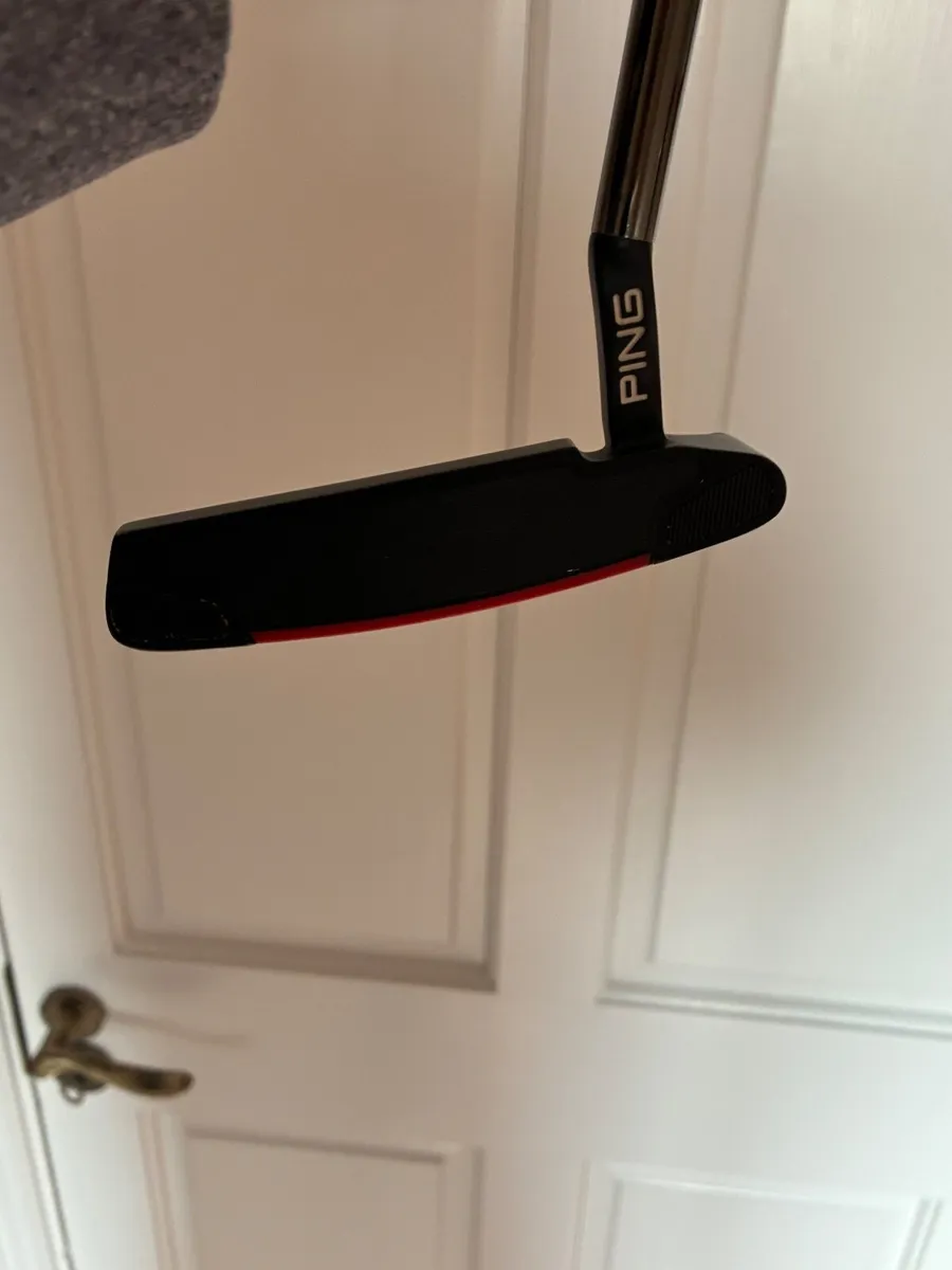 Ping anser 4 - Image 1