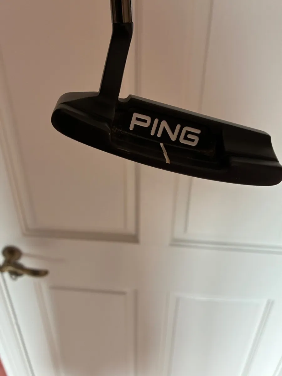 Ping anser 4 - Image 2