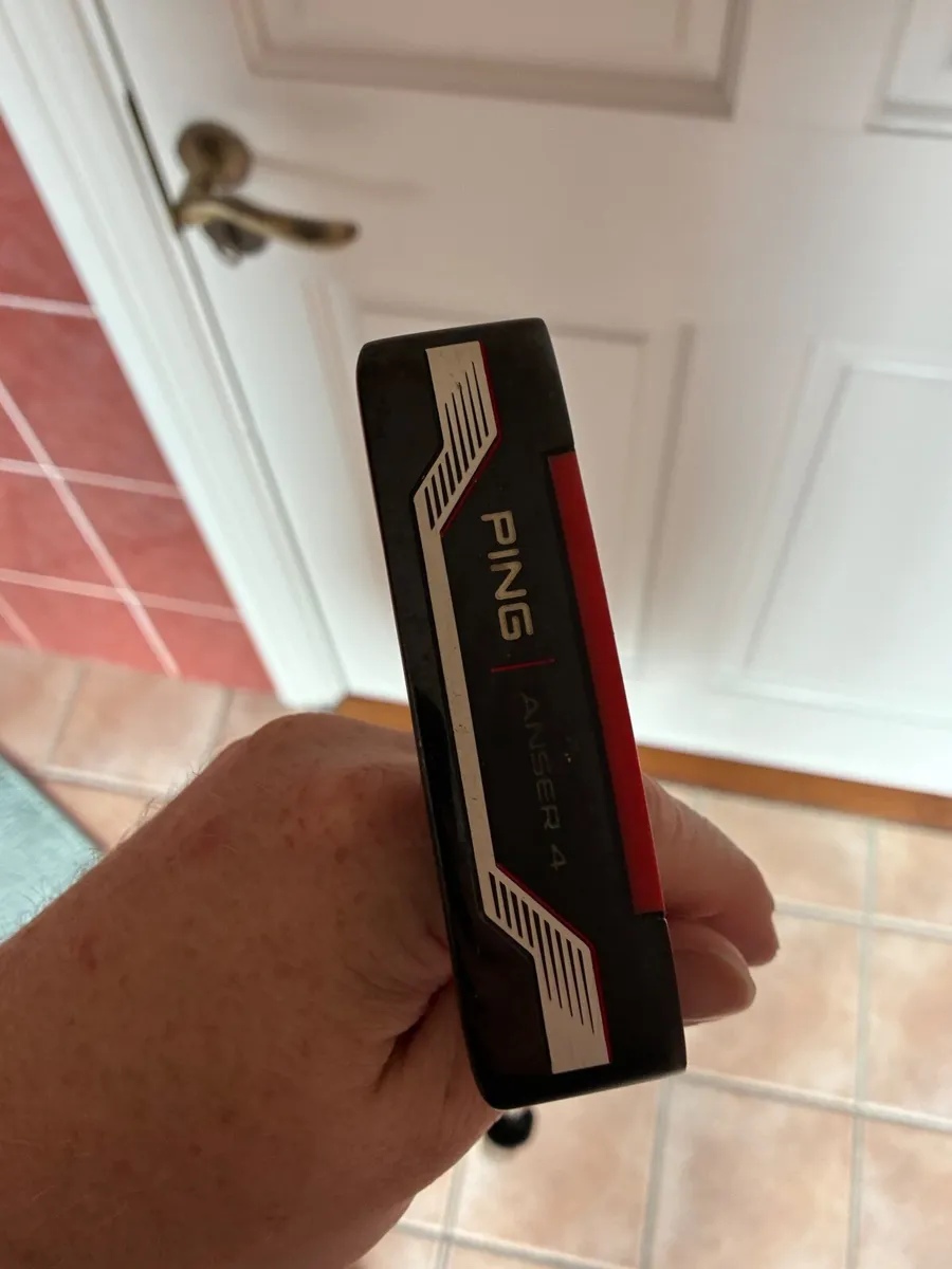 Ping anser 4 - Image 3