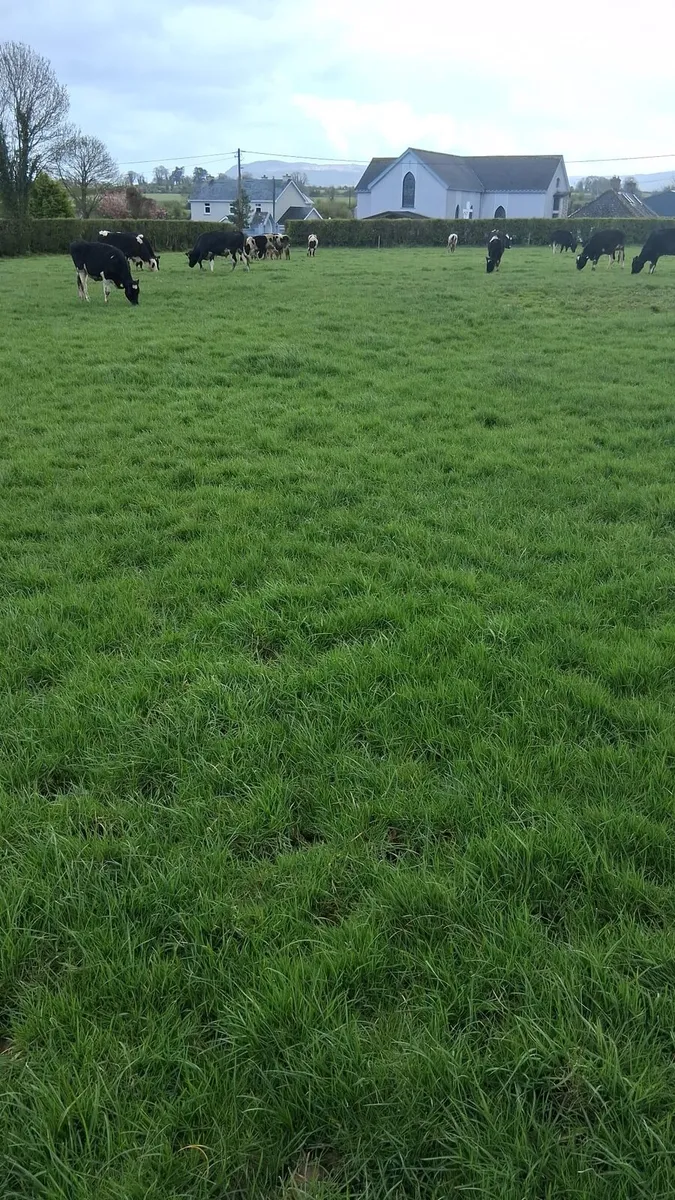 Maps to let for the year