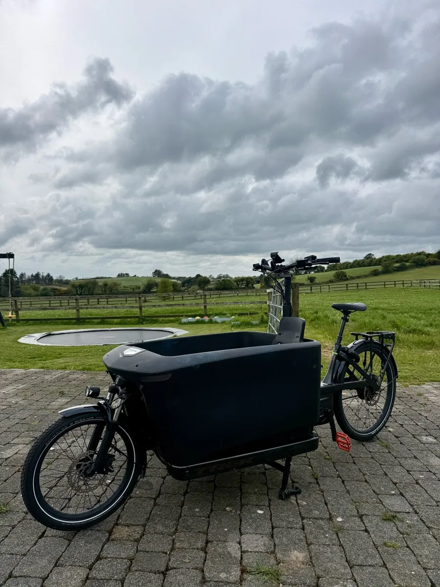 Trek fetch +4 cargo bike - Image 1