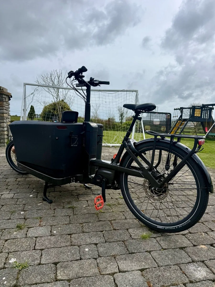 Trek fetch +4 cargo bike - Image 2