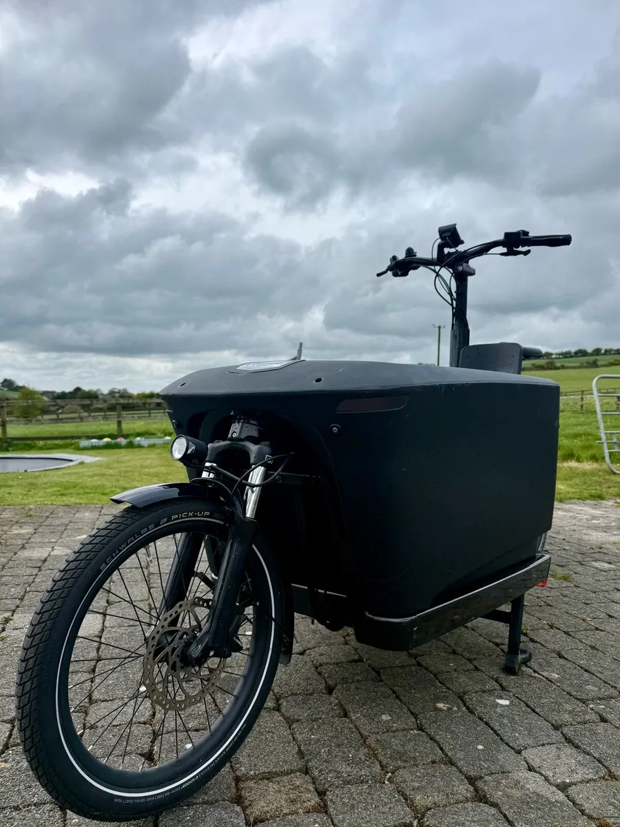 Trek fetch +4 cargo bike - Image 3