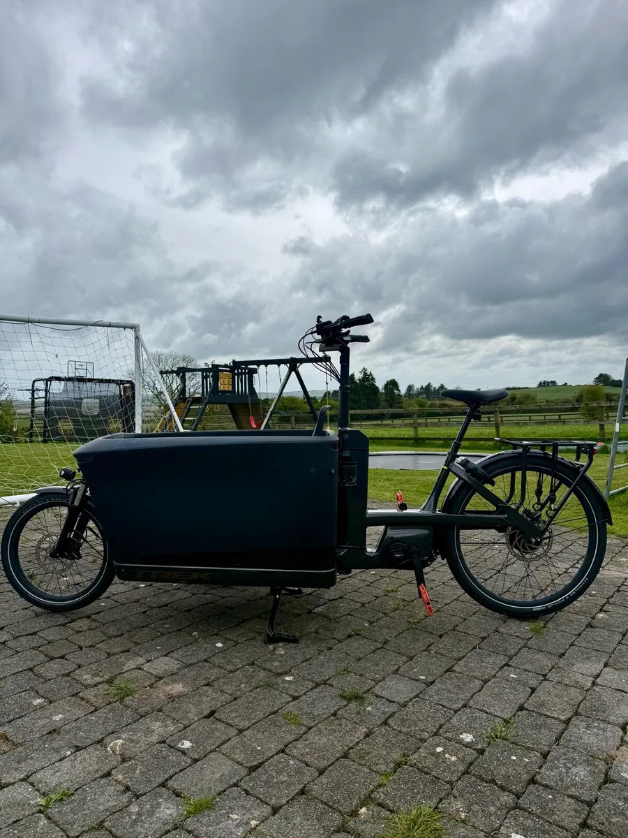 Trek fetch +4 cargo bike - Image 4