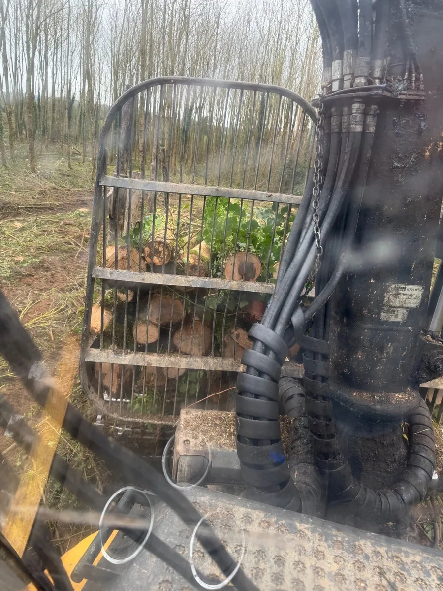 Ash forestry firwood wanted - Image 1