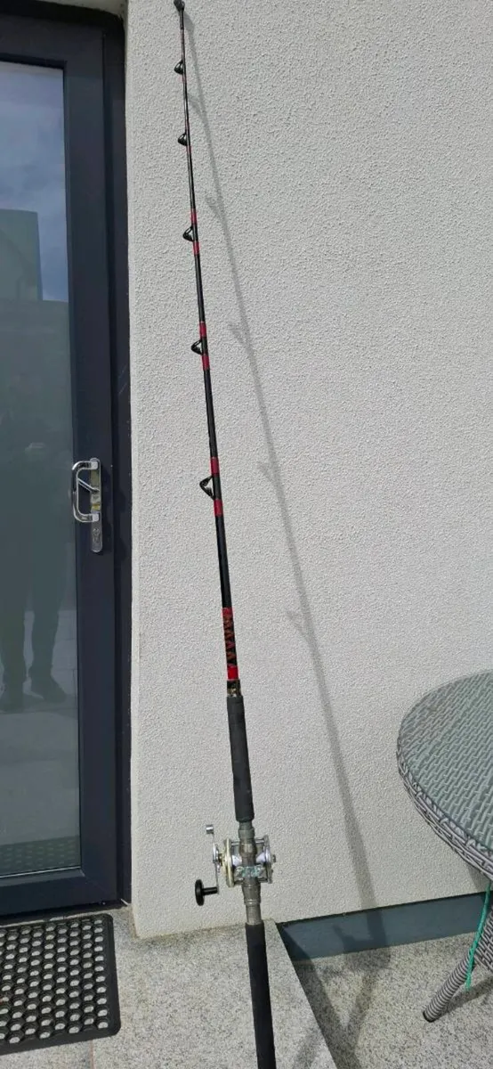 Boat fishing rod and reel - Image 1