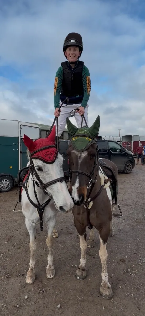 Milos– Top Class 128cm Working Hunter Pony - Image 4