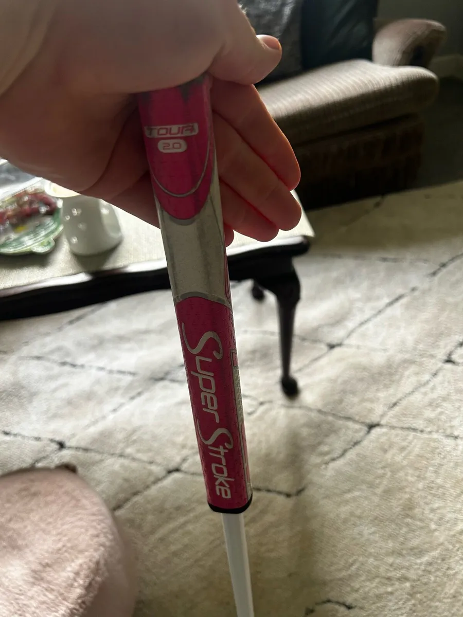 Lab Putter. Mezz 1 Max - Image 2