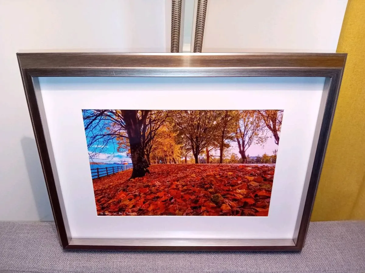 The Marina, Cork - Image 2