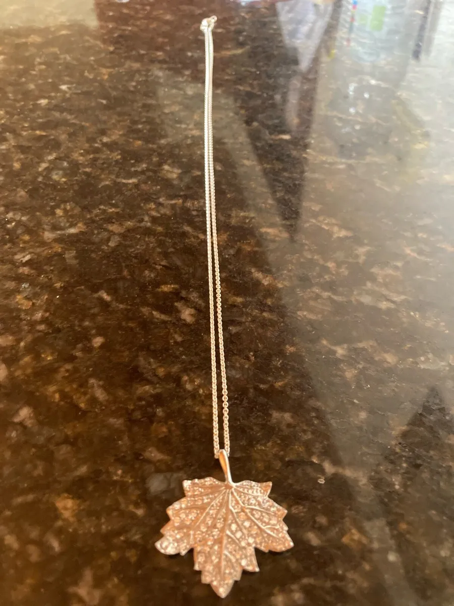 Sterling Silver pendant and chain - Image 2