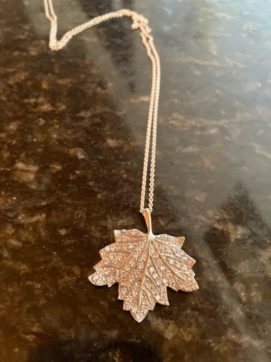 Sterling Silver pendant and chain - Image 1