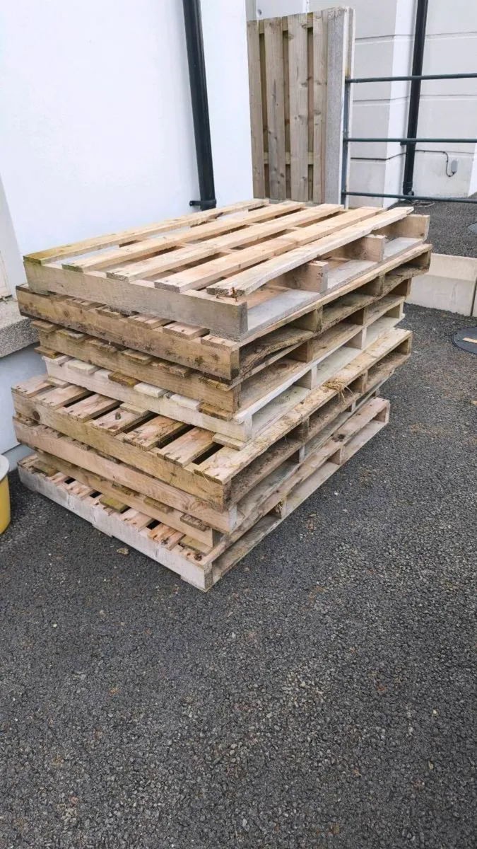 Pallets x 8 FREE to good home - Image 3