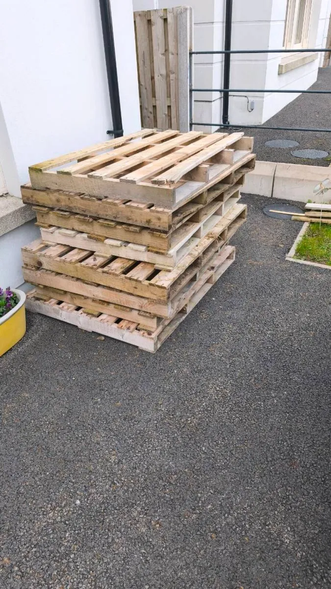 Pallets x 8 FREE to good home - Image 1