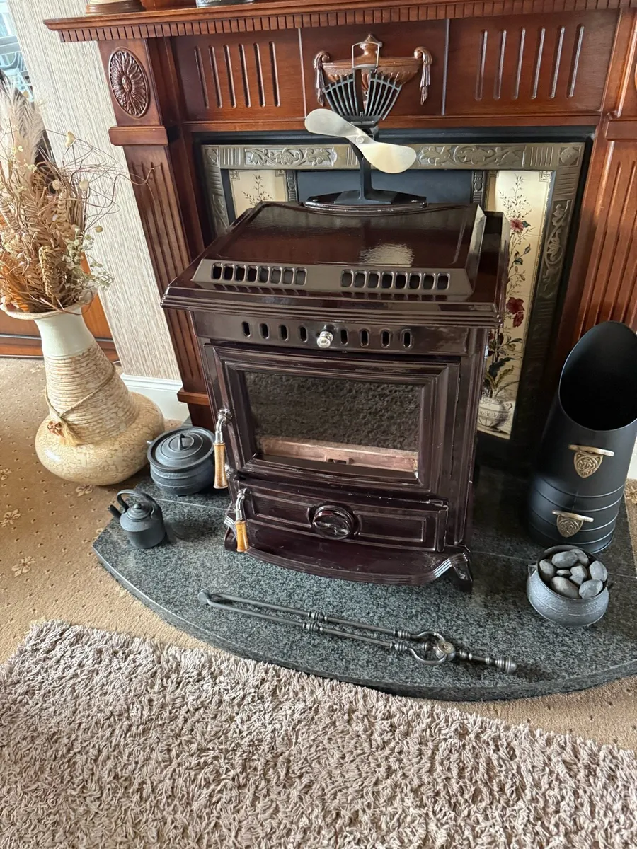 Multi Fuel Stove - Image 1