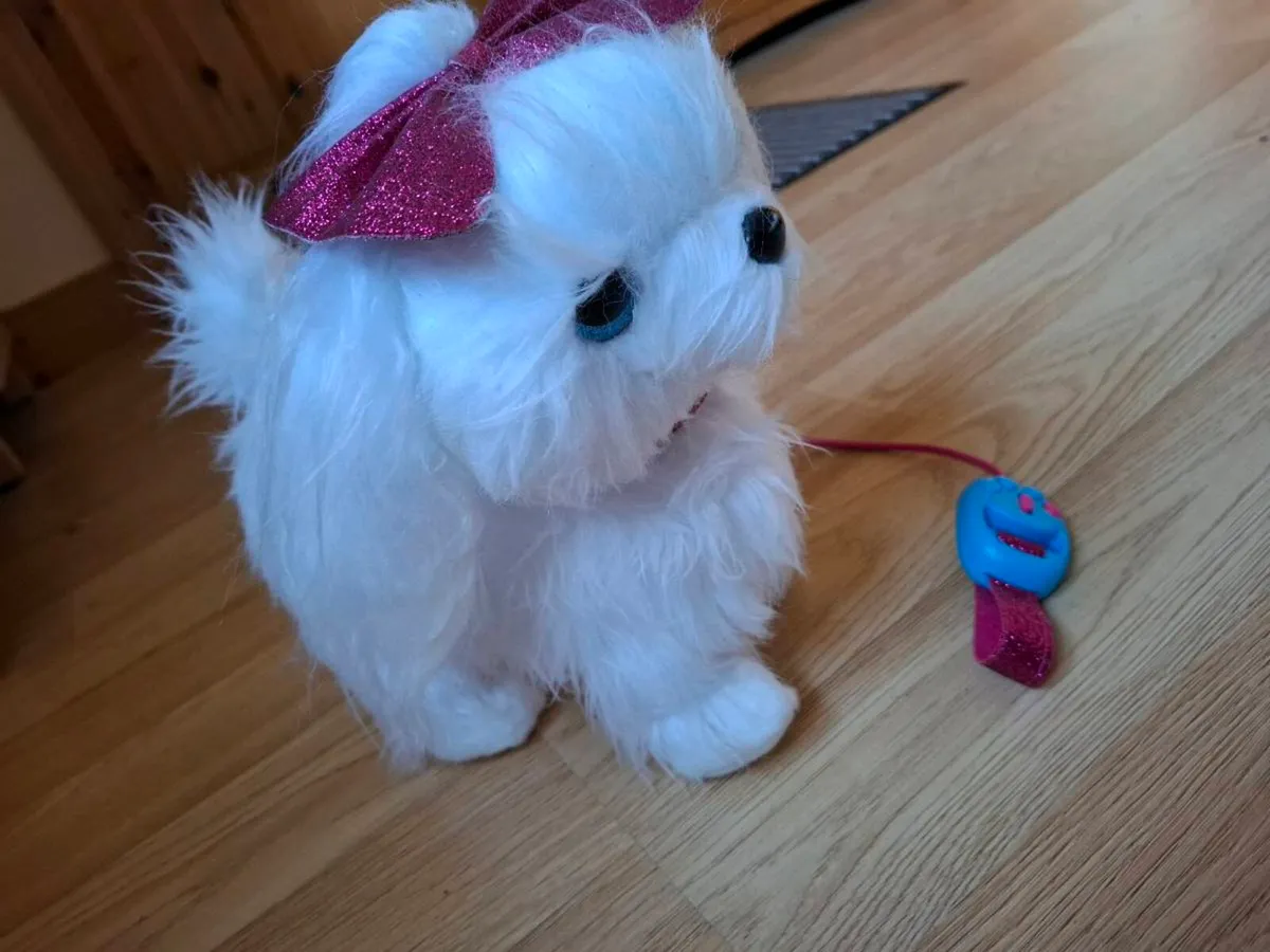 Dog Toy battery operated - Image 1