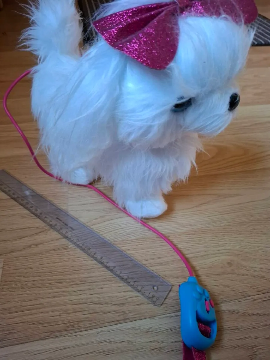 Dog Toy battery operated - Image 3