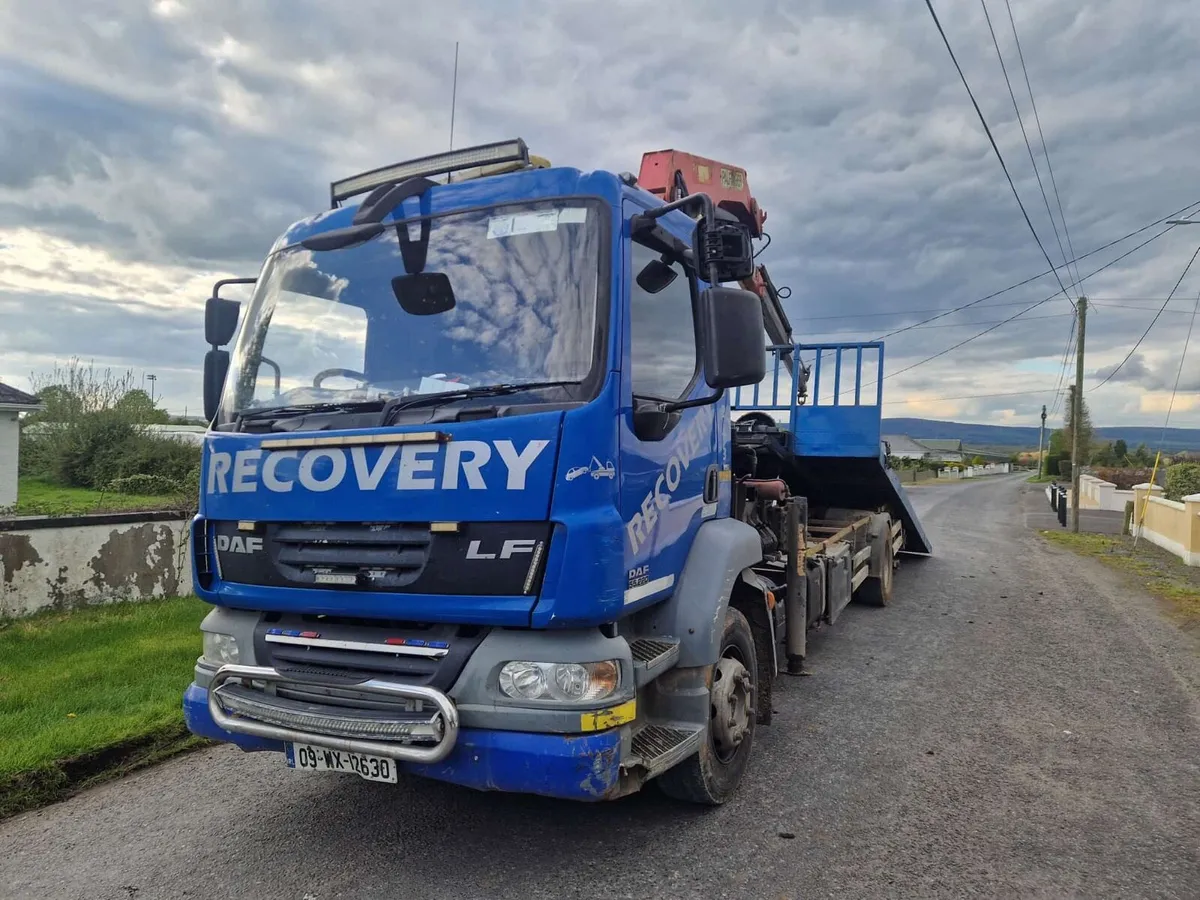 2009 DAF LF tilt and slide crane - Image 1