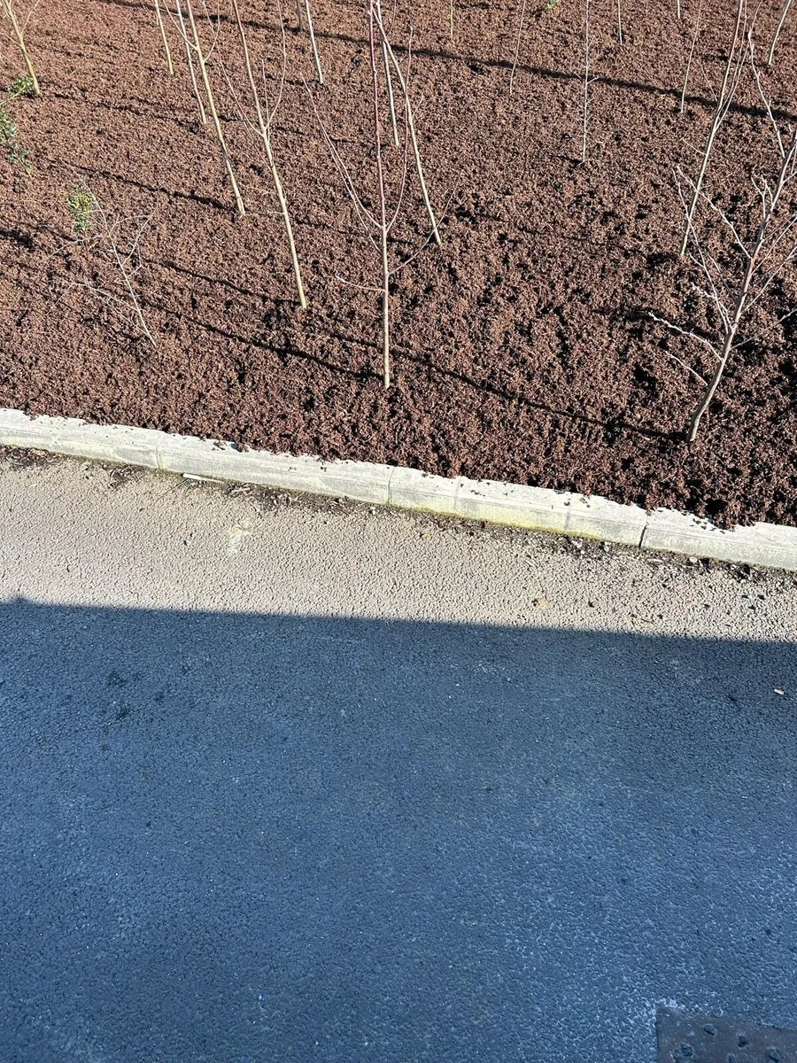 Screened topsoil - Image 2