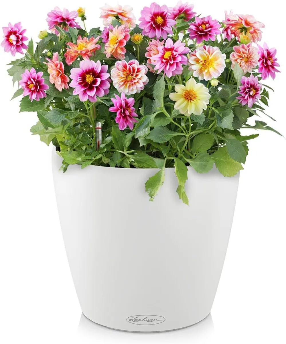 CLASSICO Color 43 Round Planter Plastic White - Image 4
