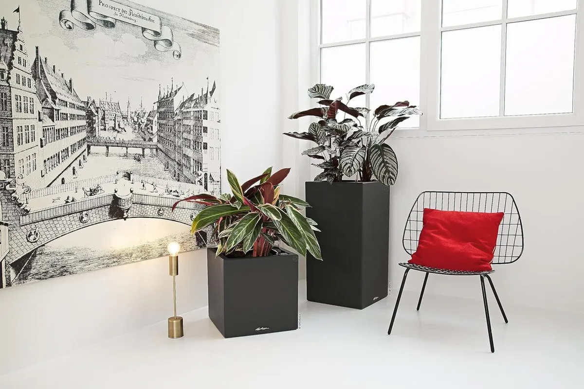 Self Watering Plant Pot CANTO Stone 40 Low - Image 2