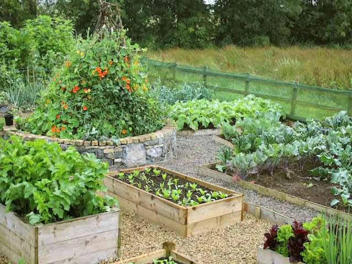 Allotment Raised Beds - 22.5cm High (180cm x - Image 3