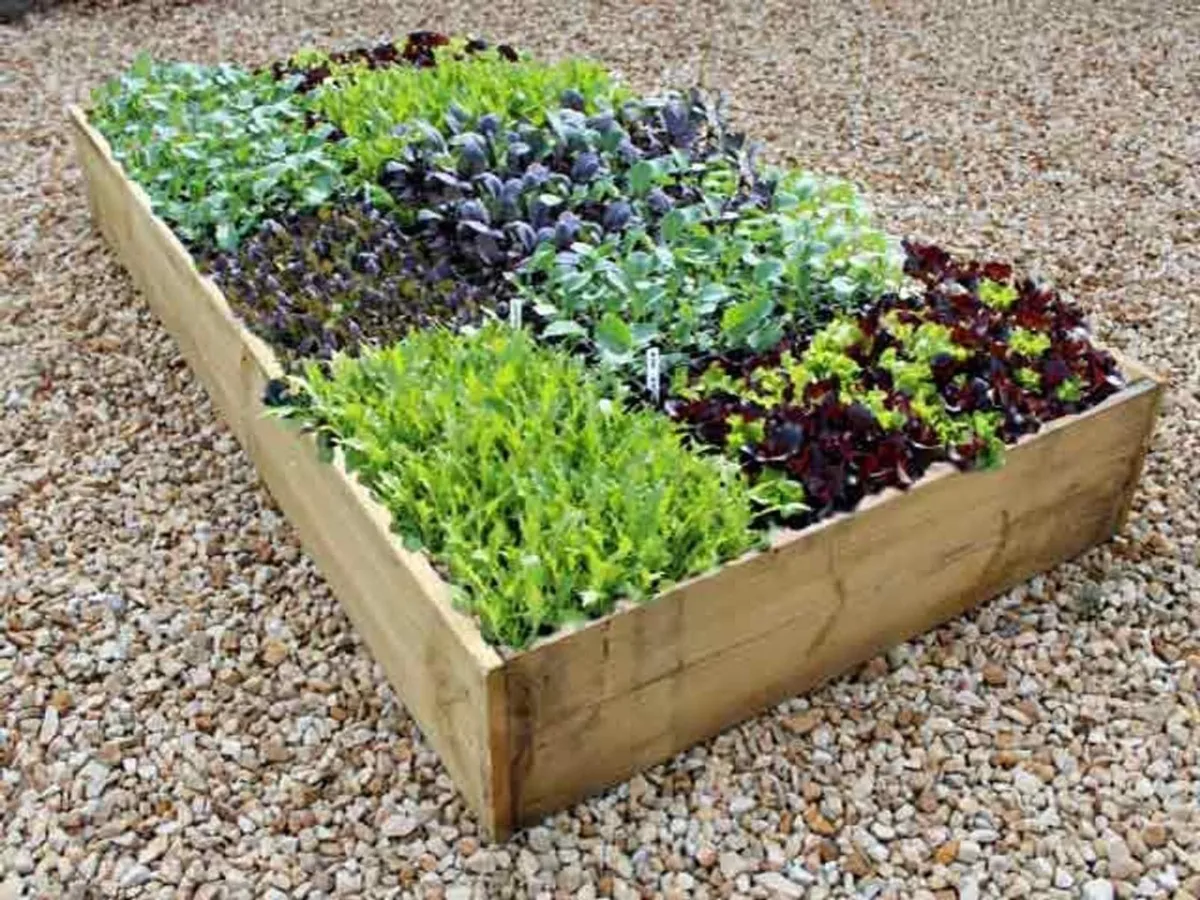 Allotment Raised Beds - 22.5cm High (180cm x - Image 1